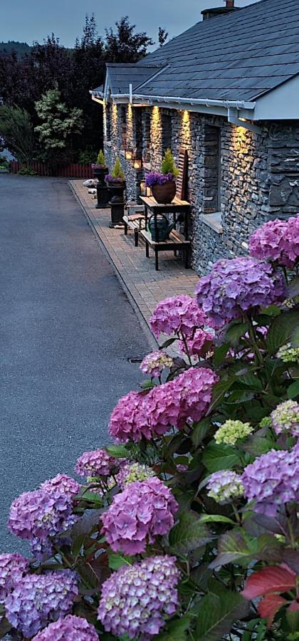 Kenmare Driftwood Bed & Breakfast Exteriér fotografie